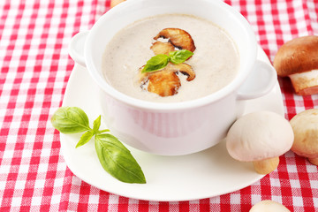 Mushroom soup in white pot, on napkin background