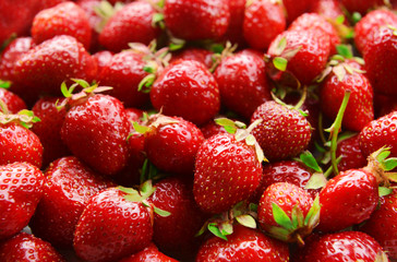 Ripe sweet strawberries close-up