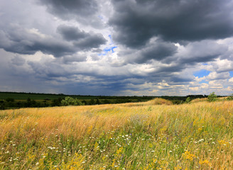 summer meadow under dark clouds