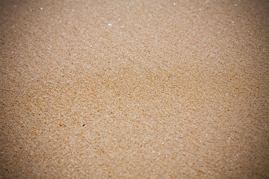 Sand beach texture close up