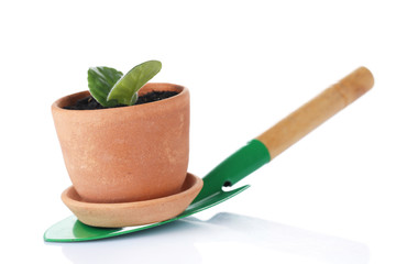 Germ at pot and scapula isolated on white