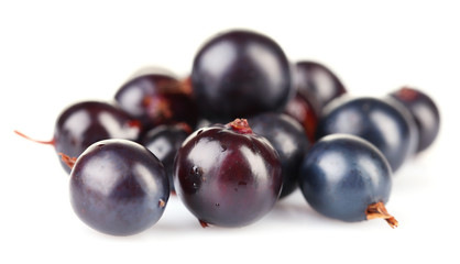 Black currants isolated on white