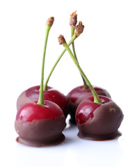 Sweet cherries with chocolate, isolated on white