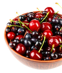 Summer berries in color bowl isolated on white
