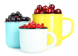 Summer berries in color mugs isolated on white
