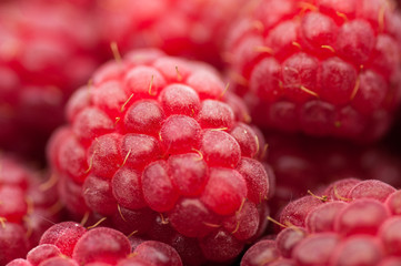 red raspberry background