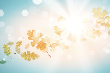 Fototapeta premium Autumn background