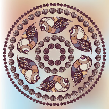 Mandala made of Seashells.