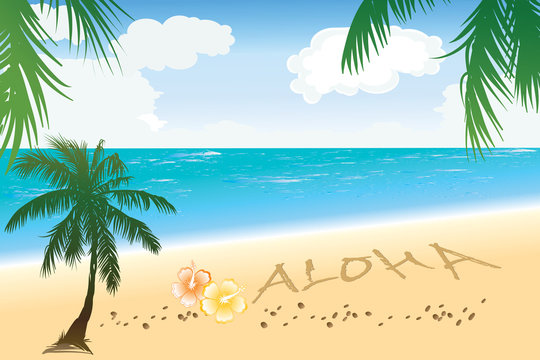 Aloha Hawaii beach travel concept
