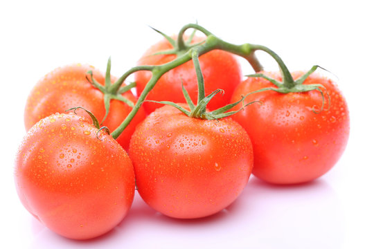 some ripe tomatoes on a branch