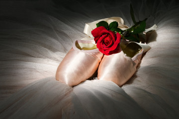 Old used ballet slippers lying on floor with rose and tutu © Alta Oosthuizen
