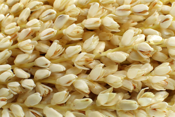 Opening of Male dates flowers