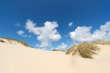 Dunes at Dutch wadden island