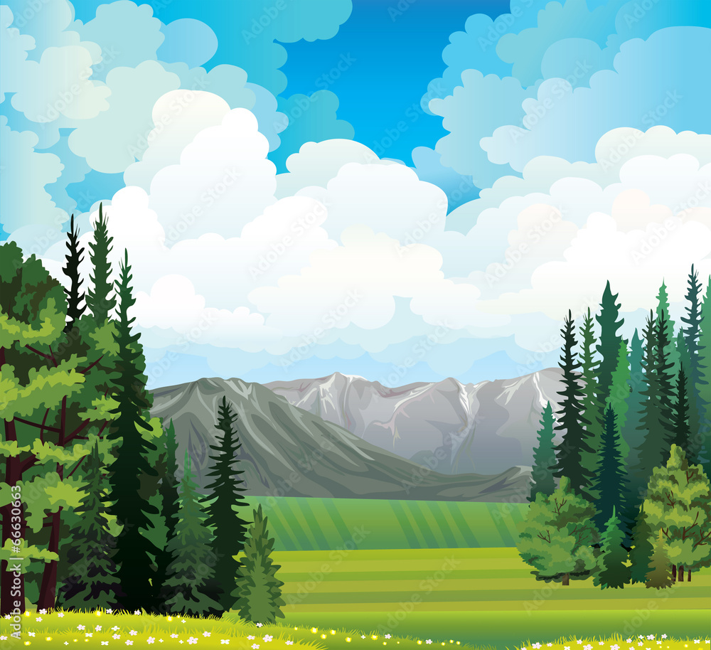 Wall mural Nature landscape with field and forest.