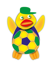 Brazilian Soccer Fan