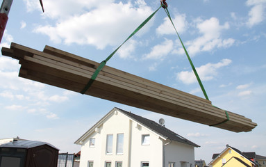 Rohstoff Holz in der Bauwirtschaft