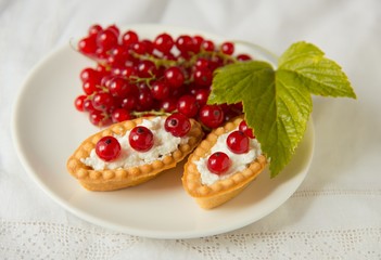 Tartlets with fresh red currant