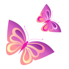 butterflies design