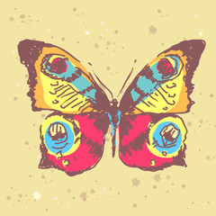 butterflies design