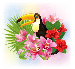 Tropical flowers and a toucan