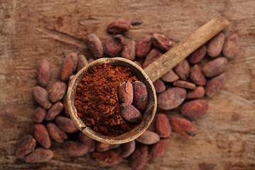 cocoa powder in spoon on roasted cocoa chocolate beans backgroun