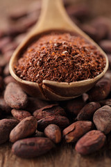 cocoa powder in spoon on roasted cocoa chocolate beans backgroun