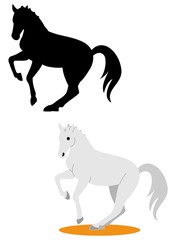 馬場馬術を演じる馬