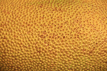 Texture of jackfruit