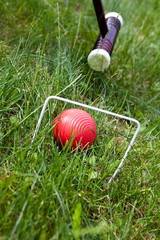 The game of croquet balls and sticks