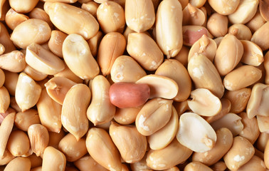 Peanuts. Close up of fried