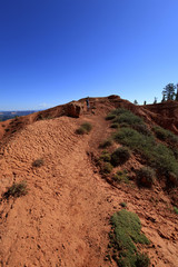 rainbow Point, Bryce Canyon