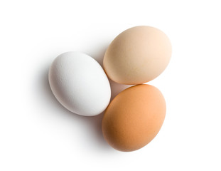 fresh eggs