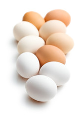 fresh eggs