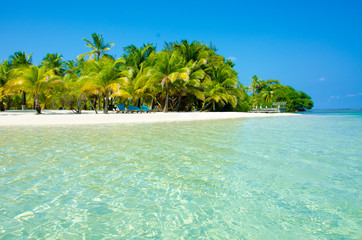 Paradise Beach on beautiful island South Water Caye - Belize