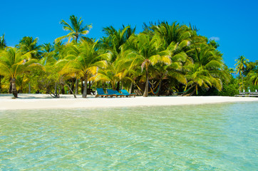 Fototapeta premium Paradise Beach on beautiful island South Water Caye - Belize