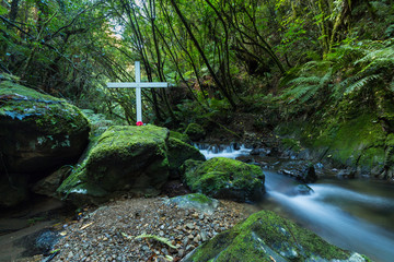 White Bush Cross