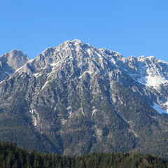 the alps in summer