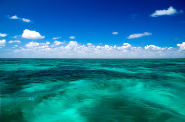 Fototapeta premium tropical sea