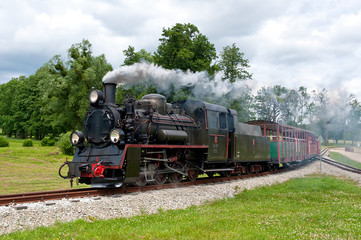 steam narrow-gauge railway locomotive