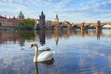 Tafelkleed Prague. © rudi1976