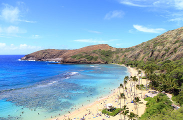 Fototapeta na wymiar ハワイ　ハナウマ湾の海と砂浜