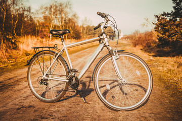 Fototapeta na wymiar Vintage photo of old bicycle on the grass
