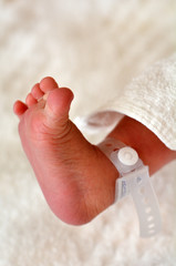 Newborn baby foot