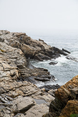 Rocky Shore of Maine