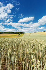 Landschaft Landwirtschaft