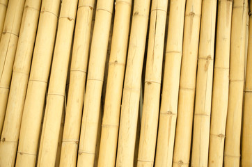 old bamboo wall background