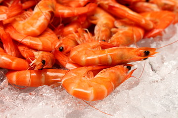 boiled Shrimp