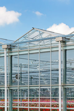 Side view of a greenhouse with flowers inside