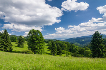 Amazing summer countryside with blue sky and clouds