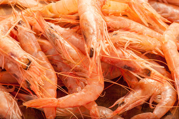 Gamberi  di mare rossi pescati